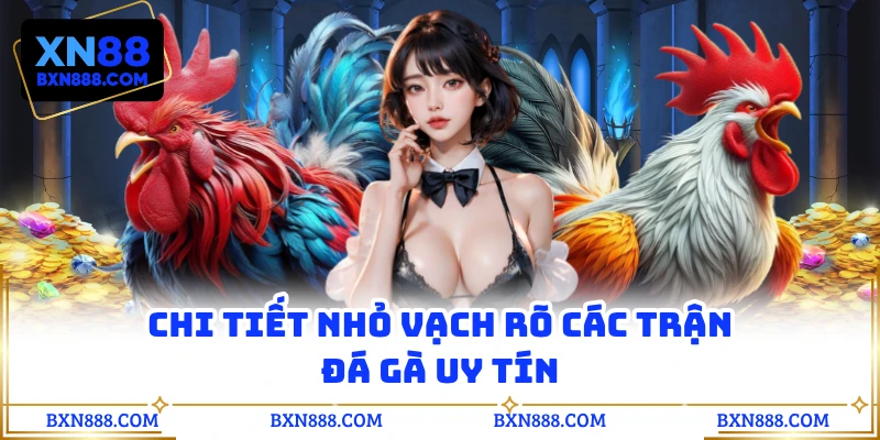 Chi tiết nhỏ vạch rõ các trận đá gà uy tín
