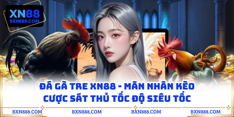 Đá Gà Tre XN88 - Mãn Nhãn Kèo Cược Sát Thủ Tốc Độ Siêu Tốc