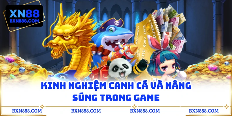 Kinh nghiệm canh cá và nâng súng trong game
